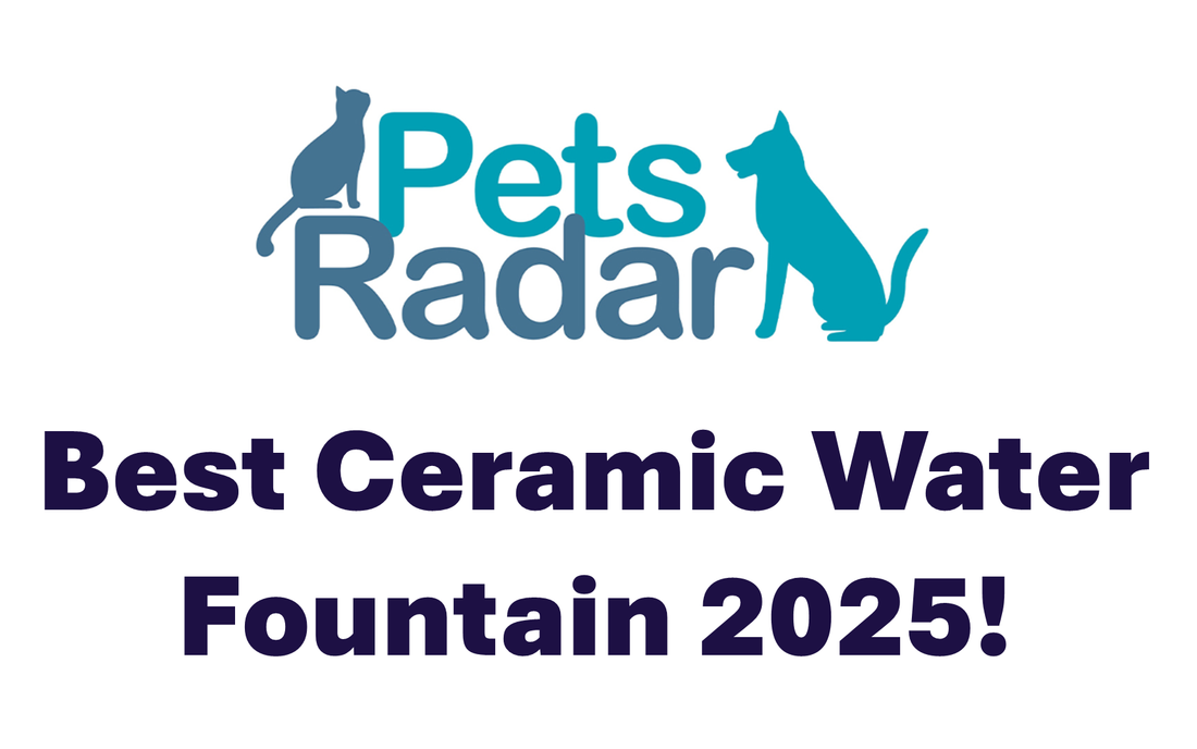 "Best Ceramic Pet Water Fountain" - Pets Radar Review, June 2025