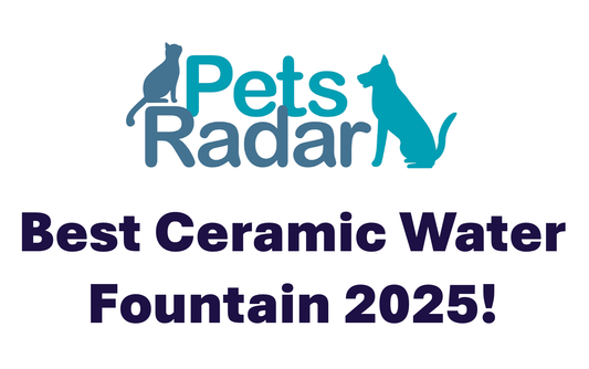 "Best Ceramic Pet Water Fountain" - Pets Radar Review, June 2025