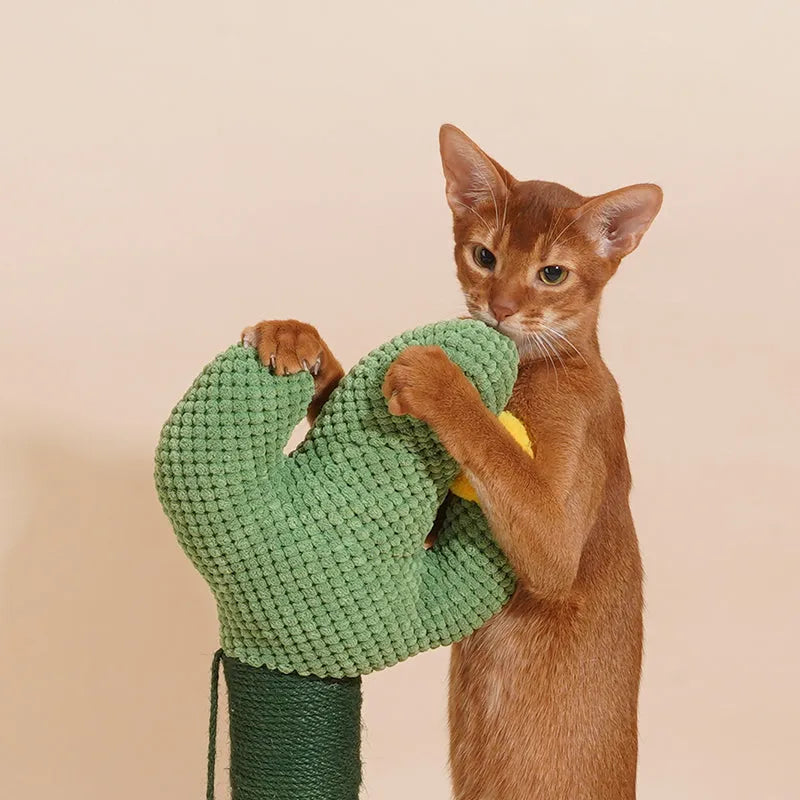 ZEZE Cactus Cat Scratching Post – 65cm Tall with Sisal Rope & Pom-Pom Toy-Fussy Cat