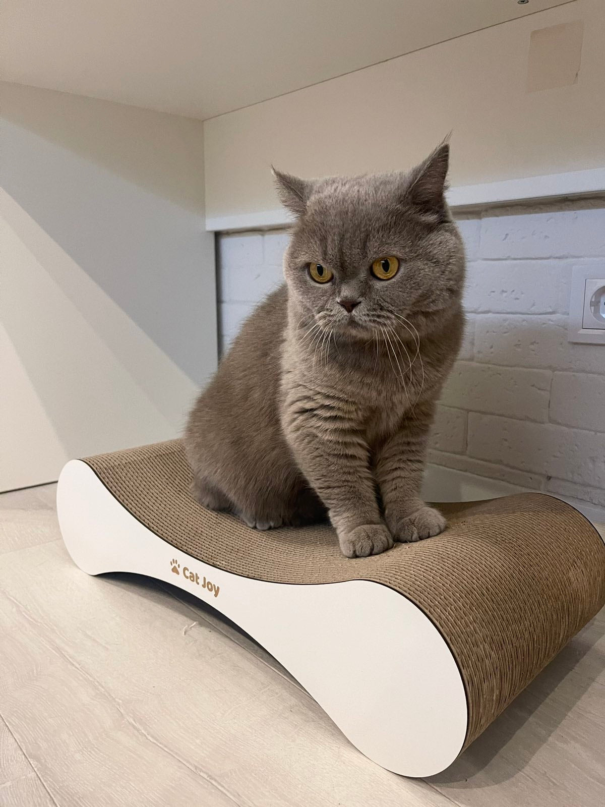 Snug – Compact Cardboard Cat Scratcher, Handmade in Britain