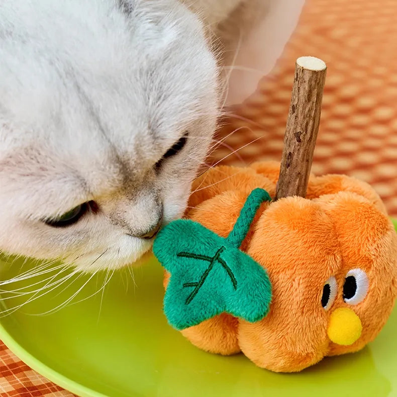 ZEZE Pumpkin Cat Toy with Silvervine Chew Stick – Crinkle Plush
