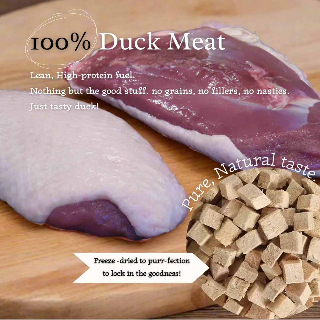 Ducky Delights - 100% Freeze-Dried Duck Treats | Novel Protein | 40g pack-Fussy Cat