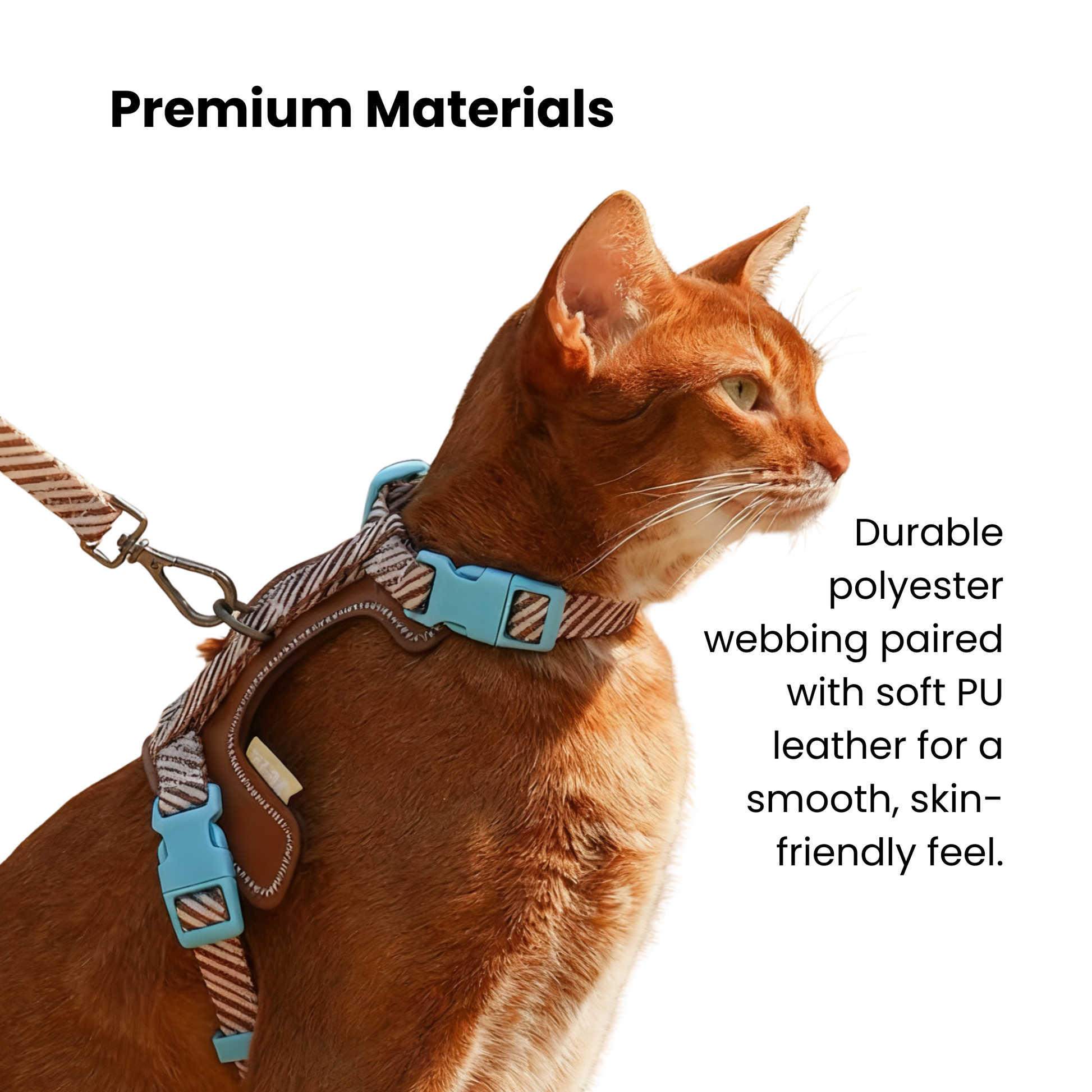 zeze Pet Leash & Harness Set-Fussy Cat