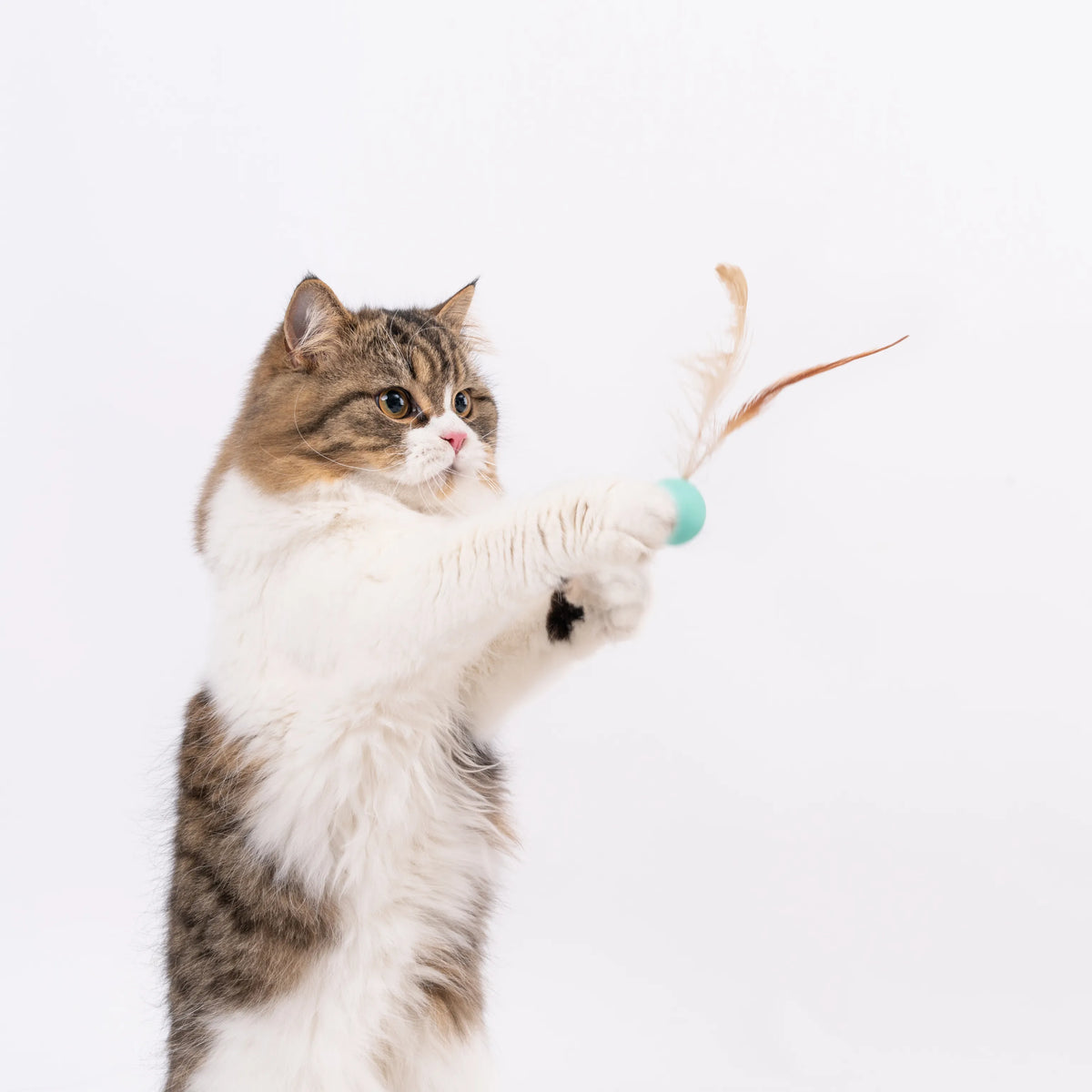 Pidan Interactive Cat Toy Balls with Feathers – 3 Pack