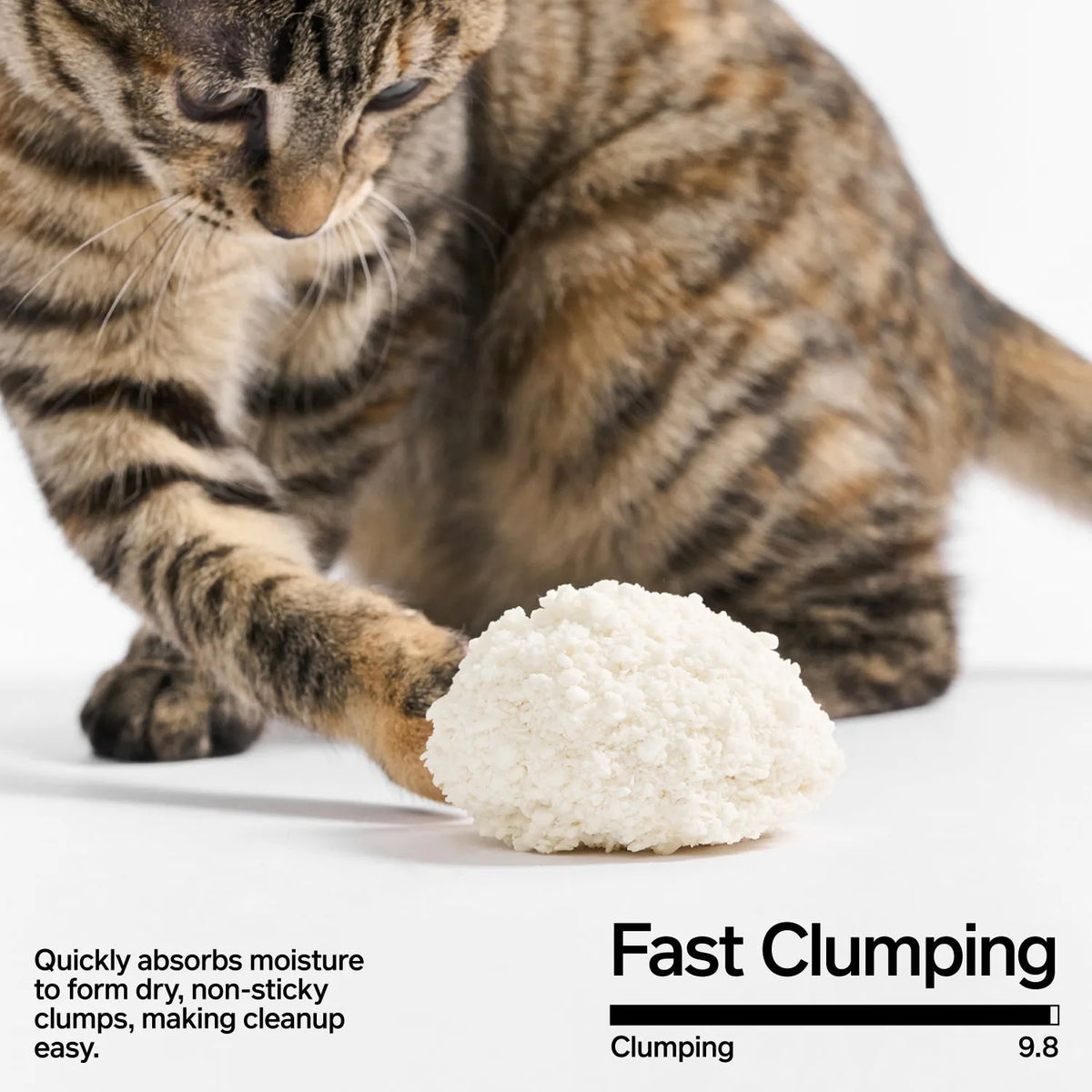 pidan Cassava Cat Litter-Fussy Cat