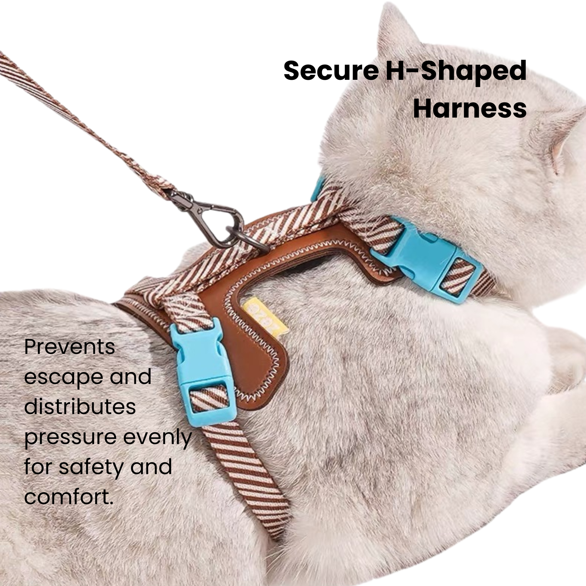 zeze Pet Leash & Harness Set-Fussy Cat