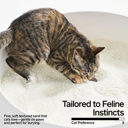 pidan Cassava Cat Litter-Fussy Cat