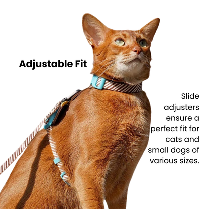 zeze Pet Leash & Harness Set-Fussy Cat