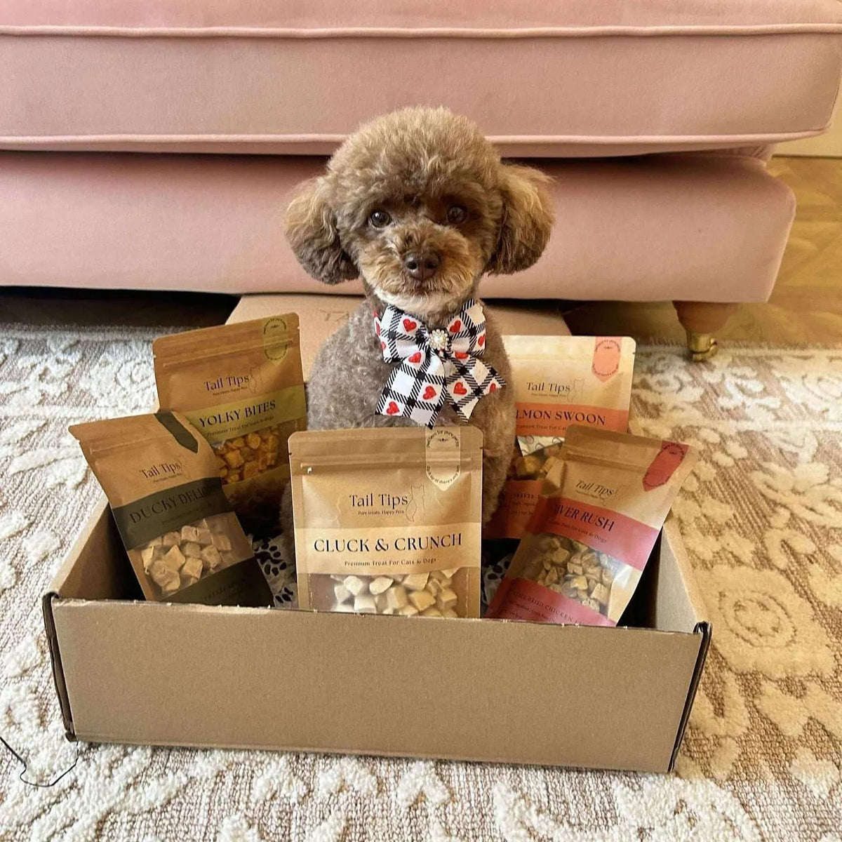 Taster Pack - 5 Freeze-Dried Pet Treats | Try All Flavours-Fussy Cat