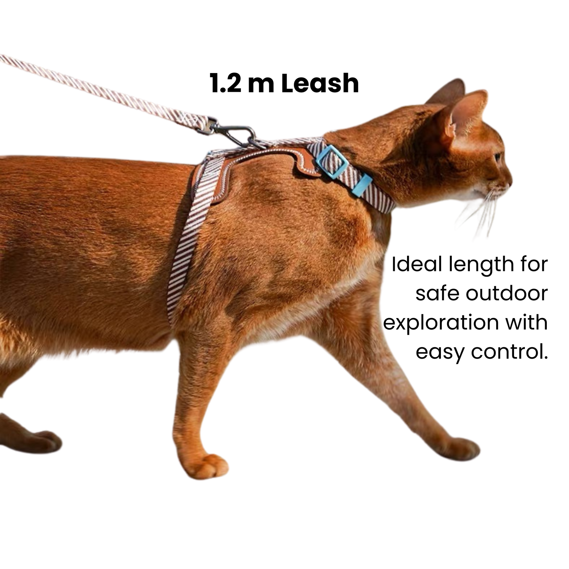 zeze Pet Leash & Harness Set-Fussy Cat