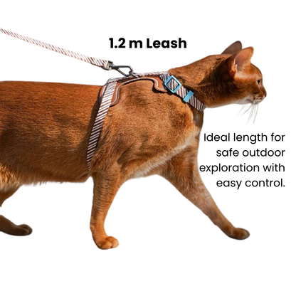 zeze Pet Leash & Harness Set-Fussy Cat