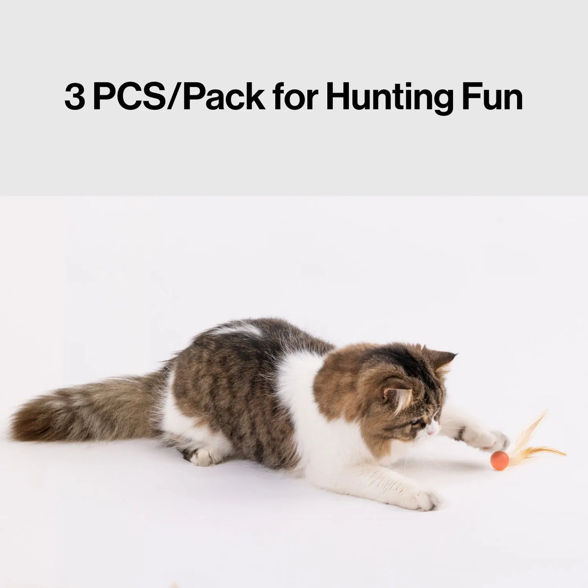 Pidan Interactive Cat Toy Balls with Feathers – 3 Pack