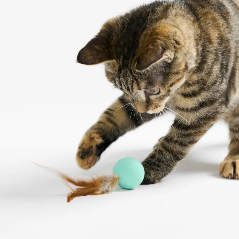 Pidan Interactive Cat Toy Balls with Feathers – 3 Pack