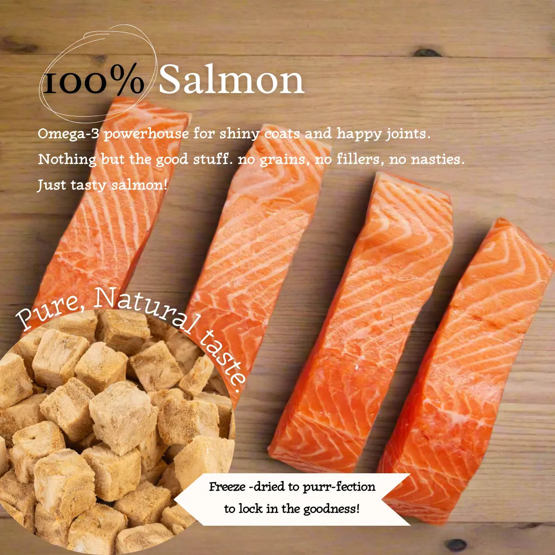 Salmon Swoon - 100% Freeze-Dried Salmon Treats | Pure & Natural | 50g pack-Fussy Cat