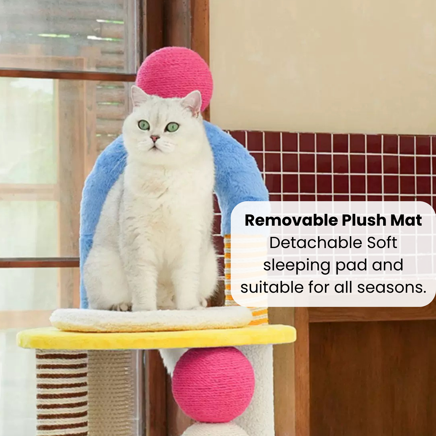 zeze Two-Tier Arch Cat Tree with Balls and Grooming Pole-Fussy Cat