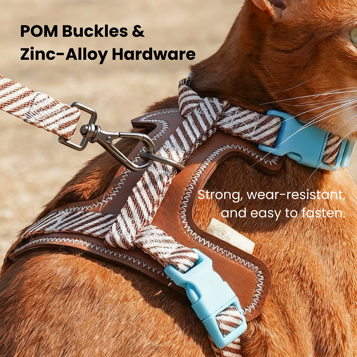 zeze Pet Leash & Harness Set-Fussy Cat