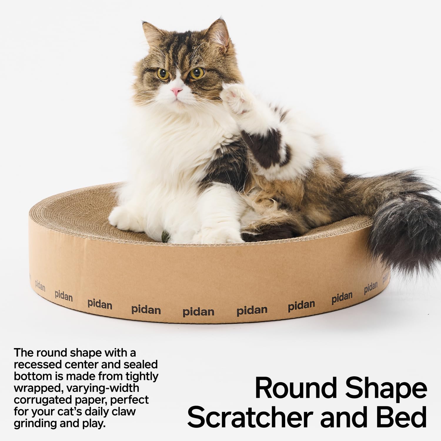 Cat sitting on pidan Round Cardboard Box Cat Scratcher Bed