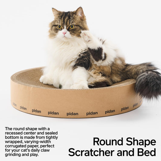 Cat sitting on pidan Round Cardboard Box Cat Scratcher Bed