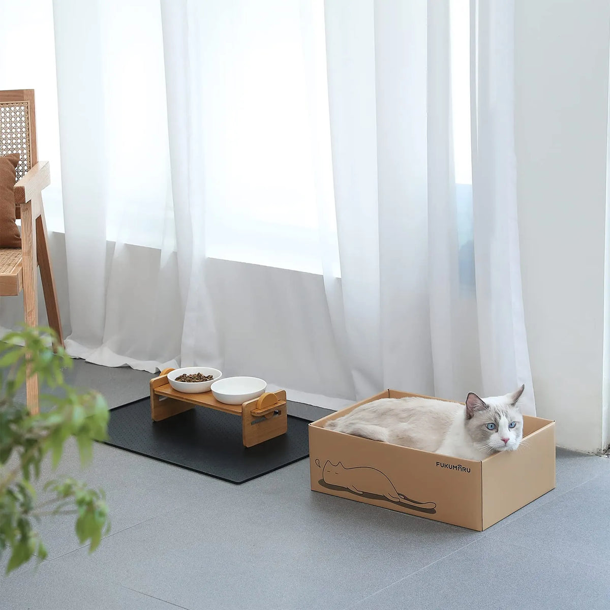 Fukumaru Cat Scratcher Box with 5 Reversible Cardboard Refill Pads — 2-in-1 Scratch Pad & Lounger (40 x 28 cm) (Copy)-Fussy Cat