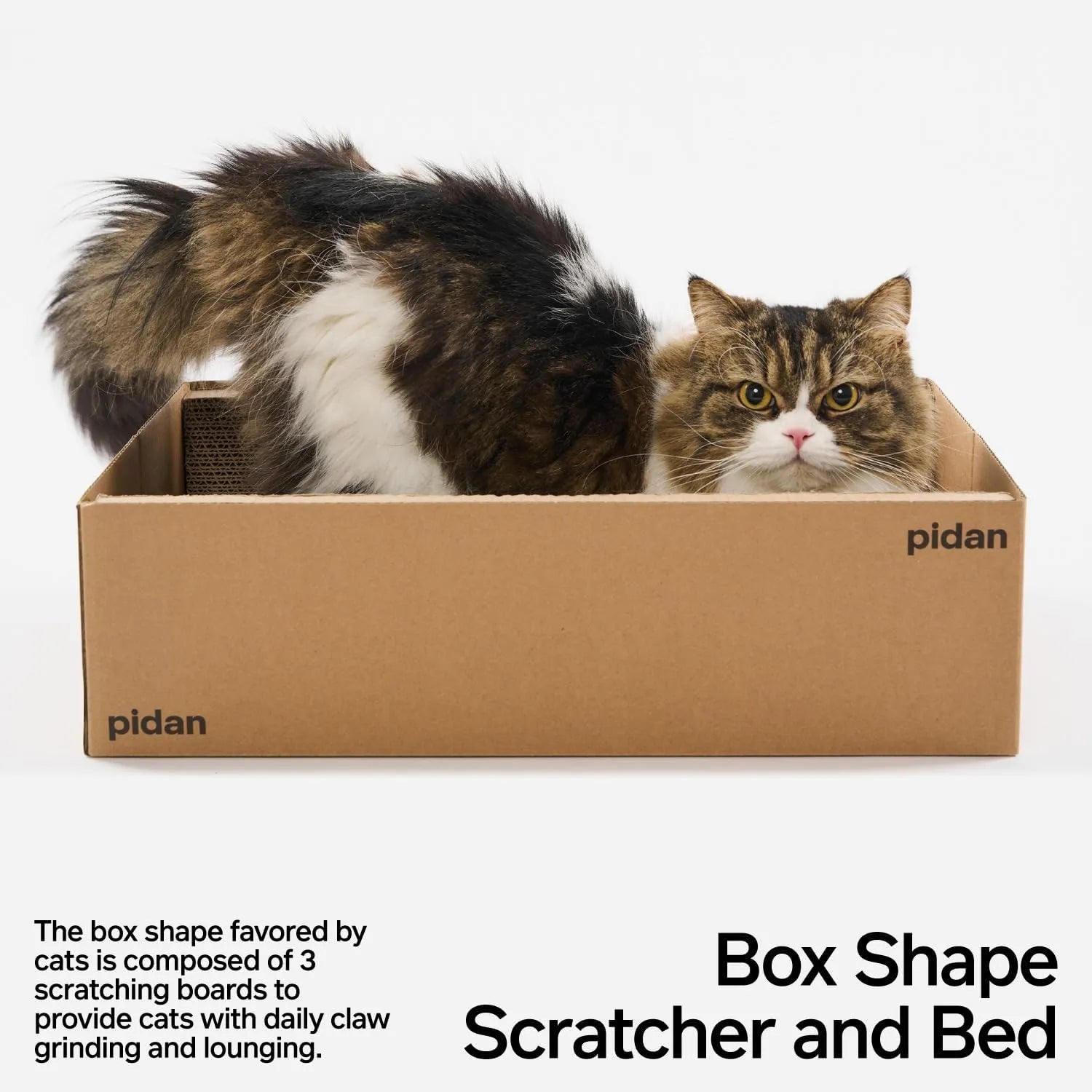 pidan Cardboard Box Cat Scratcher-Fussy Cat