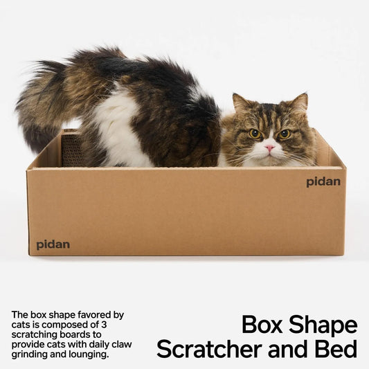 pidan Cardboard Box Cat Scratcher-Fussy Cat