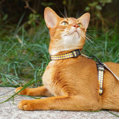 zeze Plaid Cat Harness & Leash Set-Fussy Cat