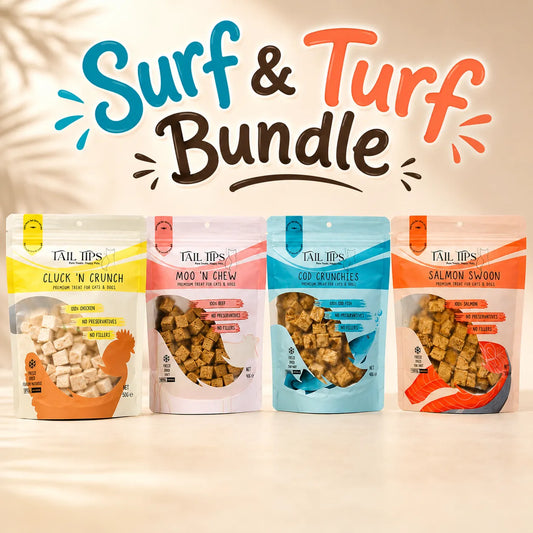Surf & Turf Bundle 🌊🥩-Fussy Cat