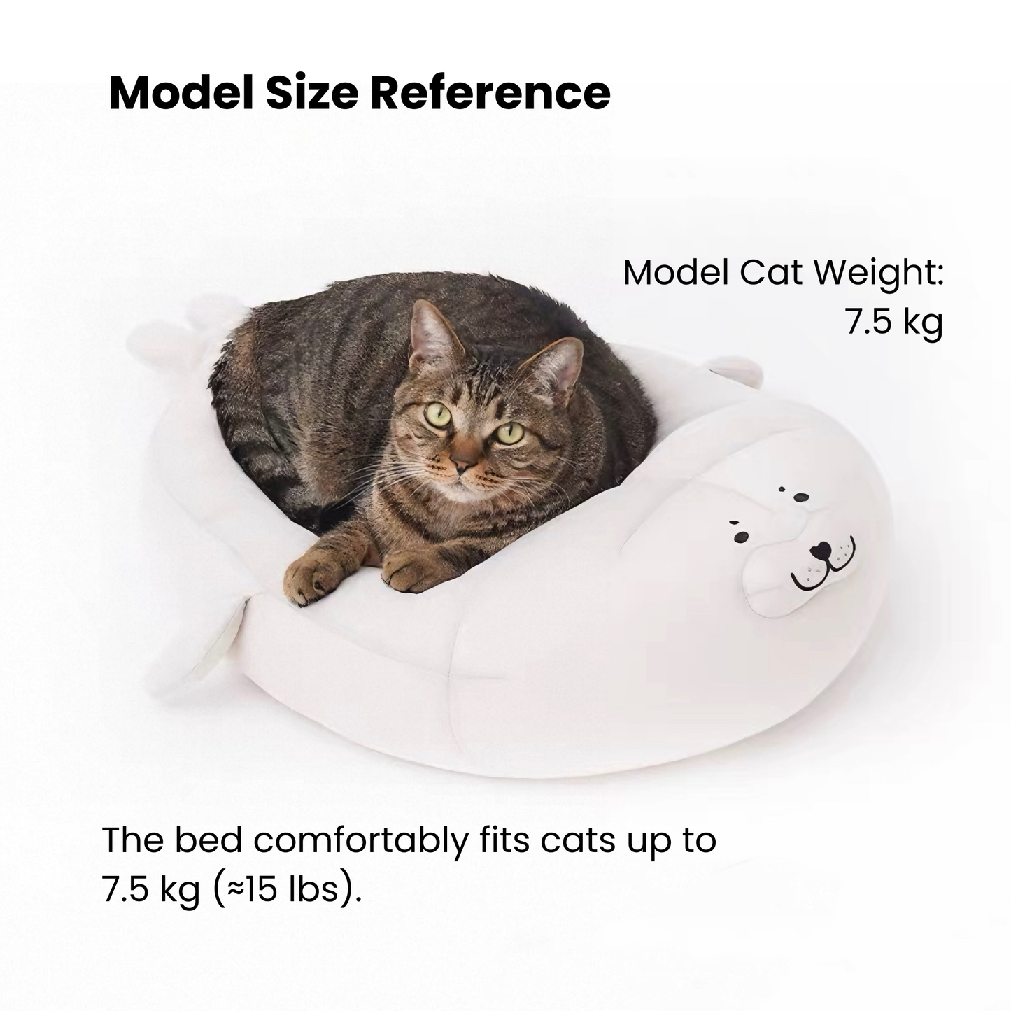 ZEZE cat bed (seal shape)-Fussy Cat