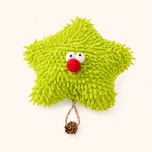 Green Starfish Catnip Cat Toy – Interactive Plush Star Shape | Soft & Durable Cat Toy for Kittens & Cats (14 cm)-Fussy Cat