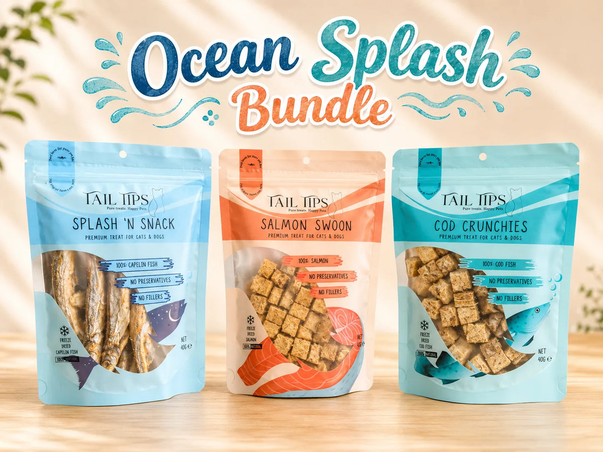 Ocean Splash Bundle 🌊-Fussy Cat