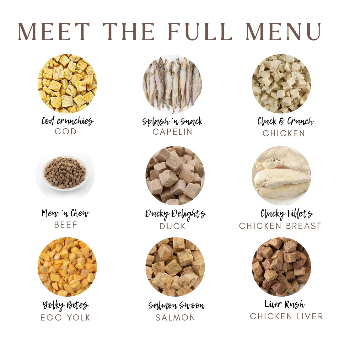 Yolky Drops - 100% Freeze-Dried Quail Egg Yolk Treats Gourmet Meal Enhancement for Pets-Fussy Cat