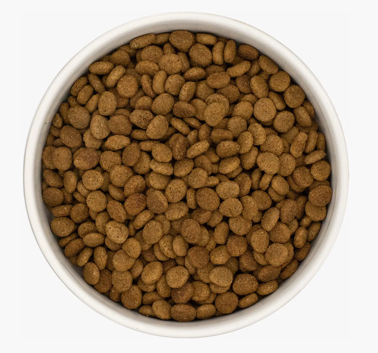 White bowl filled with round, brown chicken, tuna, and salmon cat kibble.