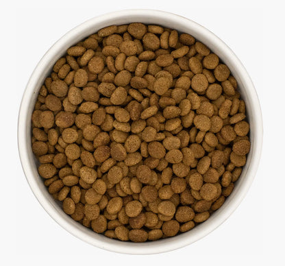 White bowl filled with round, brown chicken, tuna, and salmon cat kibble.