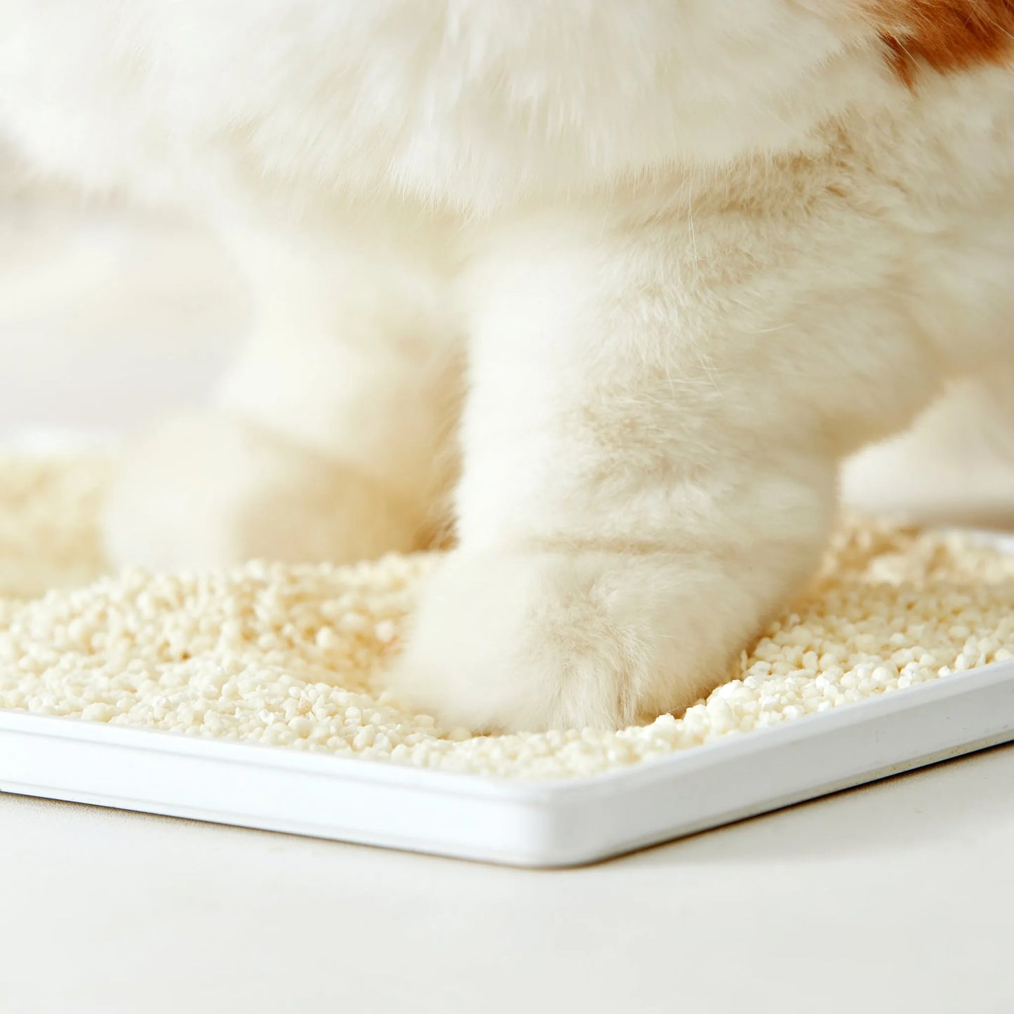 Cococat Cassava Plant Cat Litter-Fussy Cat
