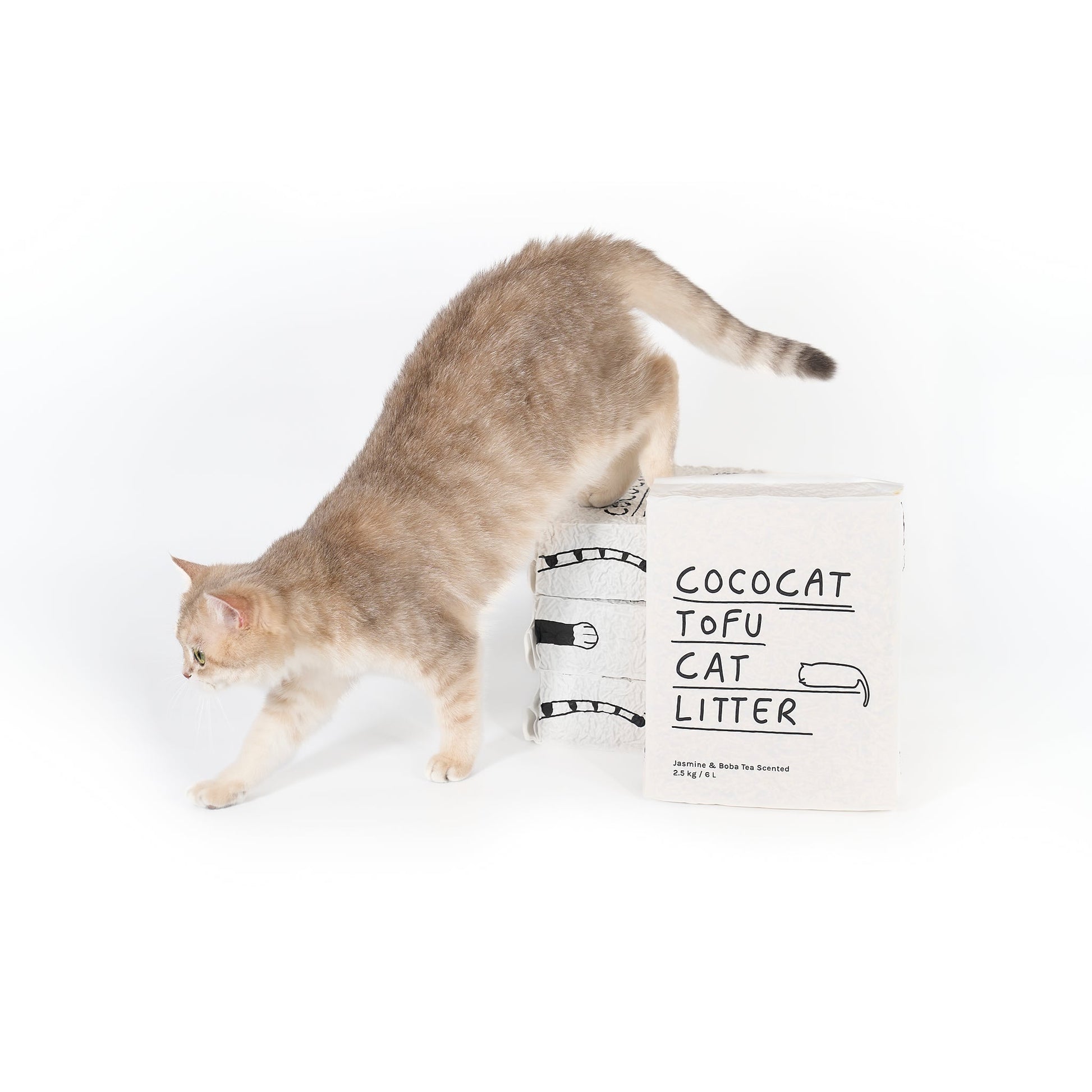 Cat interacting with a bag of Cococat Tofu Cat Litter on a white background