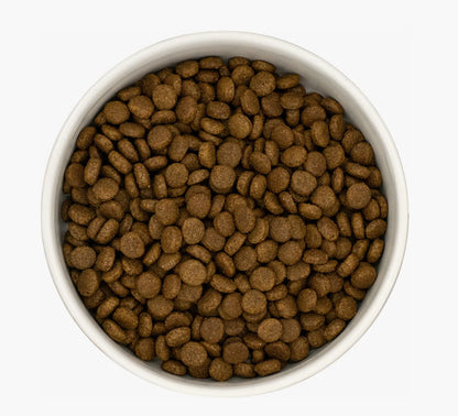 White bowl filled with small, round, dark brown duck and sardine cat kibble.