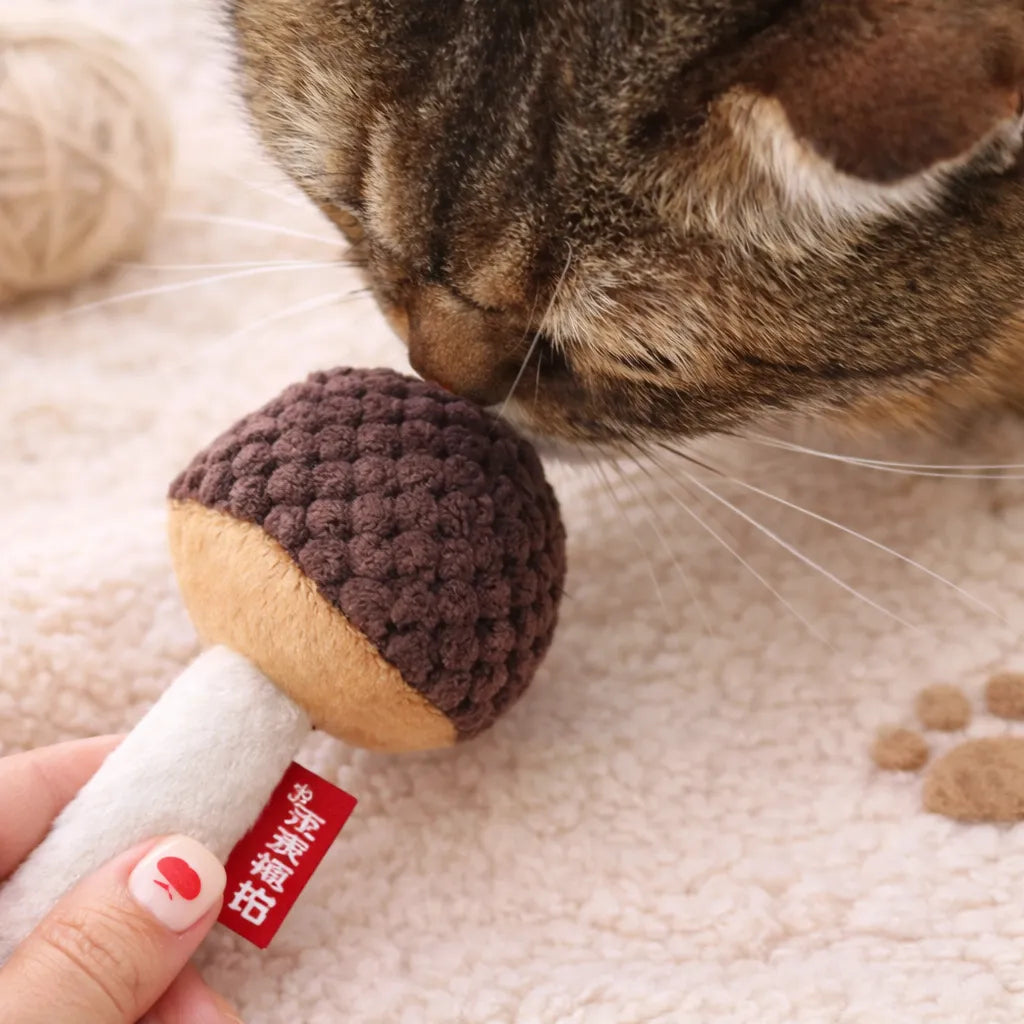 Cat Chew Mushroom Toy with Silvervine & Catnip – Molar Cleaning Interactive Cat Toy (15cm)-Fussy Cat