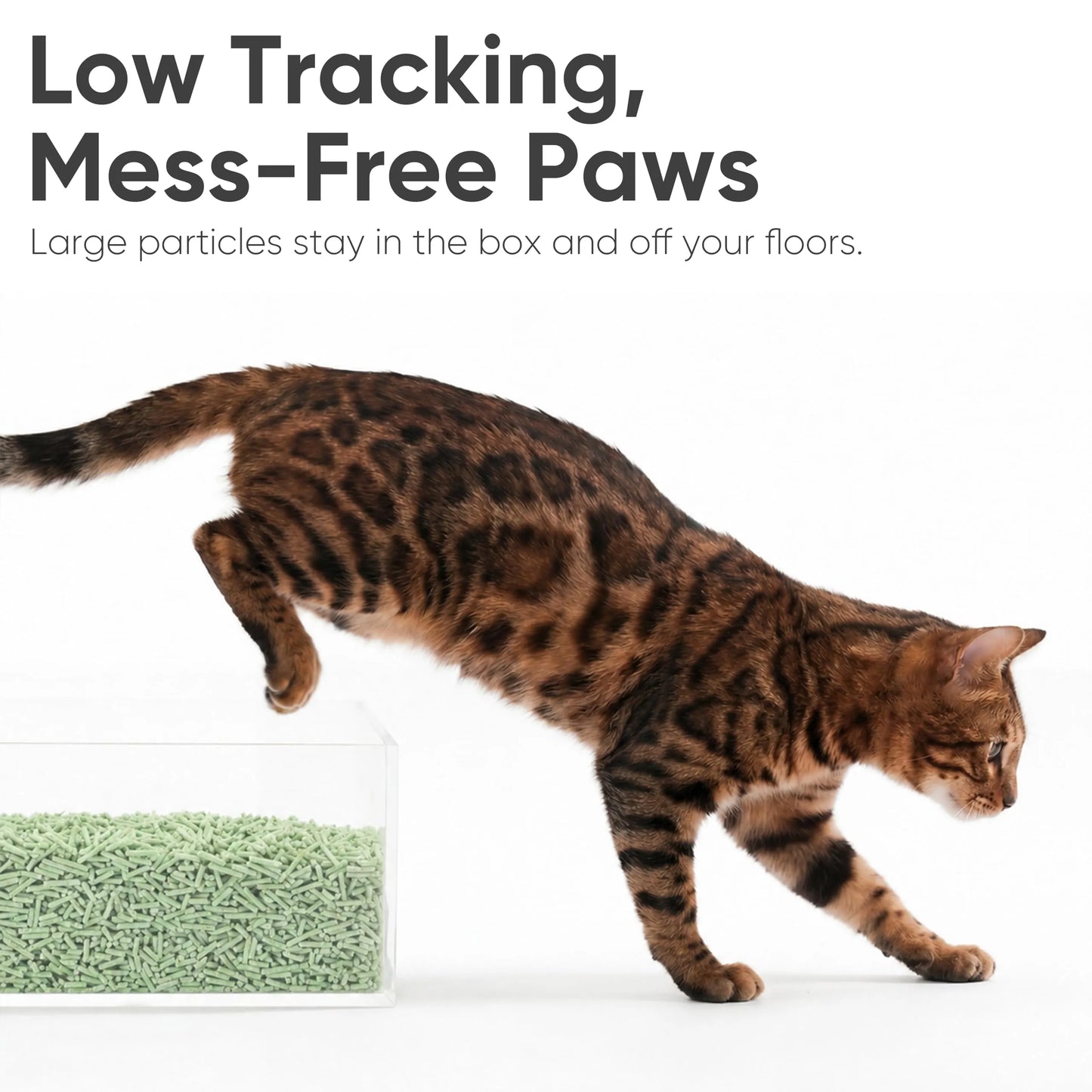 FUKUMARU Green Tea Tofu Cat Litter-Fussy Cat