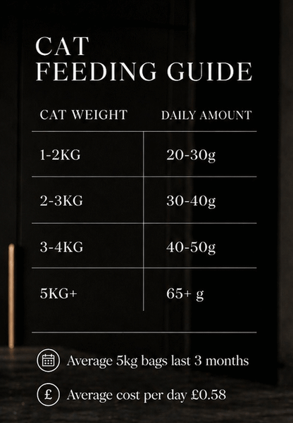 Urinary Care Chicken Grain Free Dry Cat Food