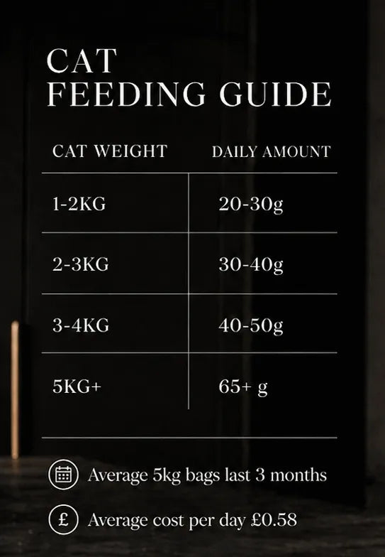 Gastrointestinal Care Turkey Grain Free Dry Cat Food-Fussy Cat