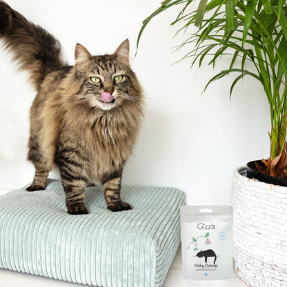 Fishy Catnip Cat Treats
