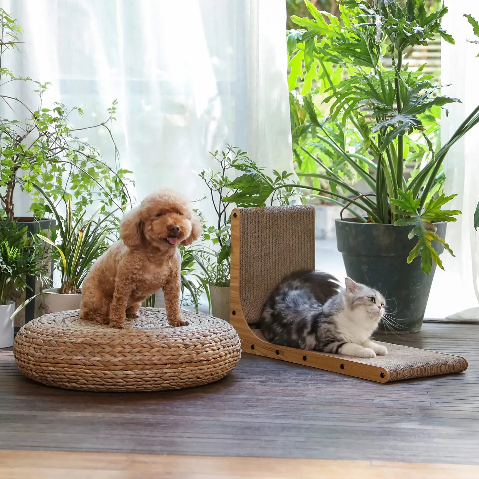 Fukumaru L-Shaped Cat Scratcher, Large-Fussy Cat