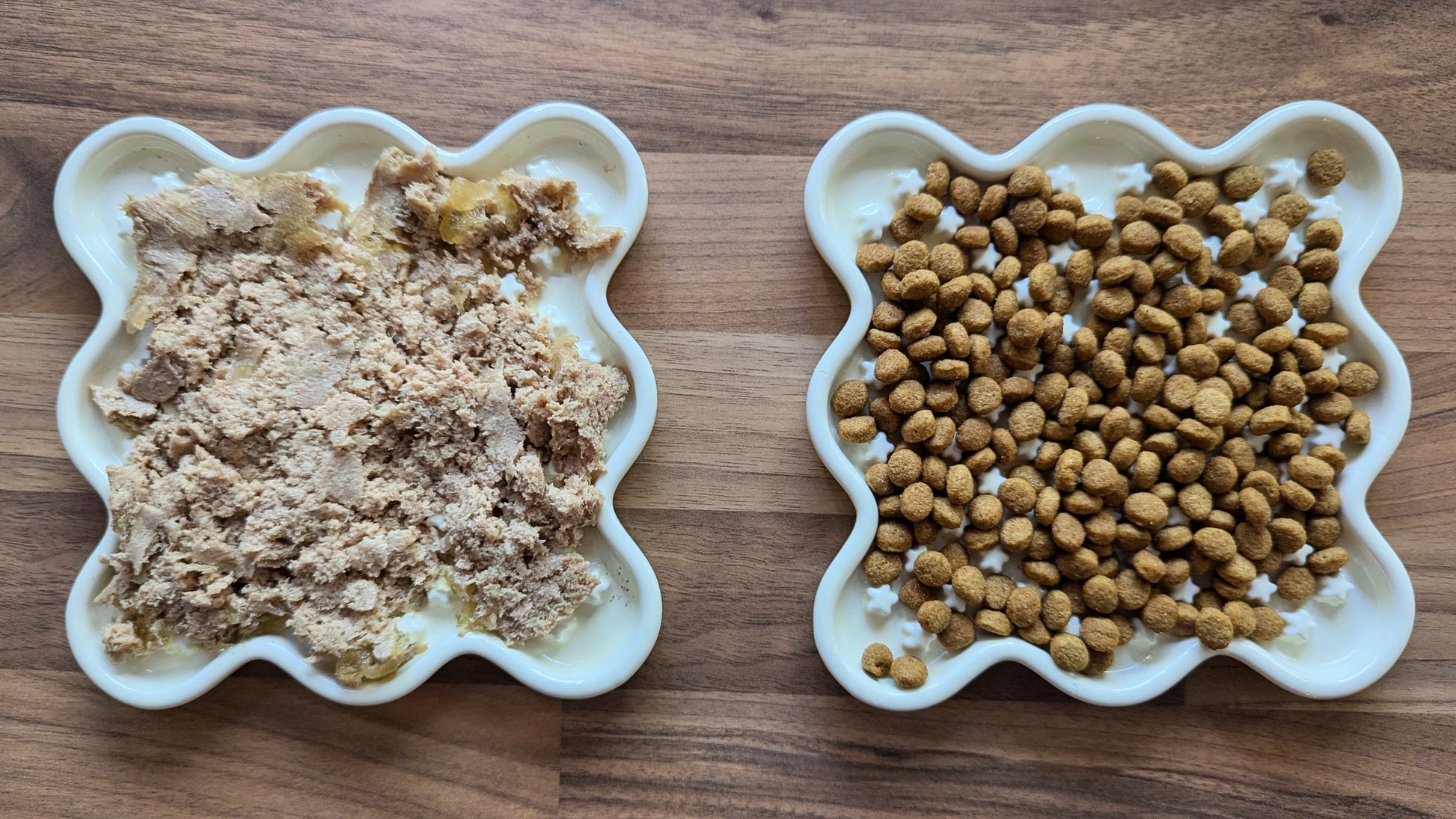 Fussy Cat Ceramic Slow Puzzle Feeder Bowl for Dry or Wet Cat Food