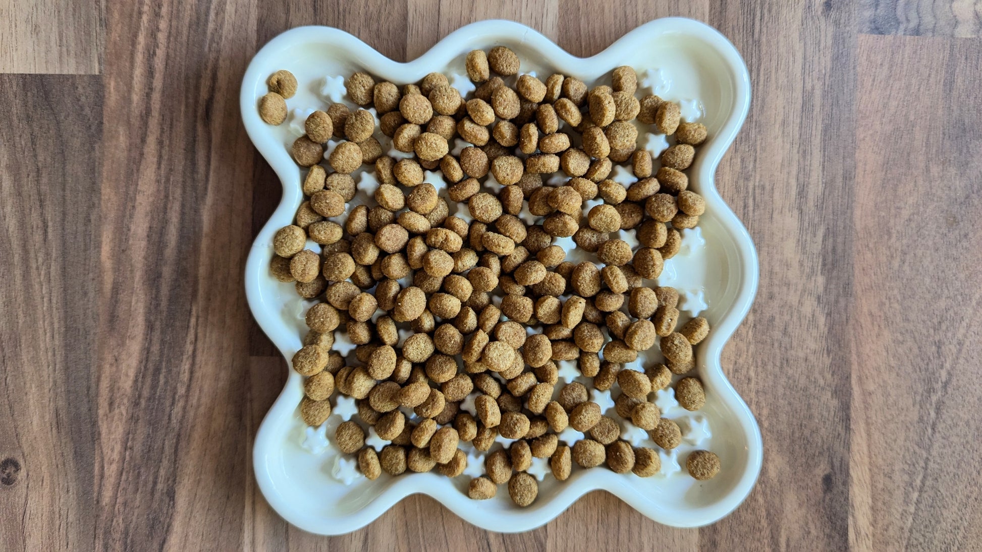 Fussy Cat Ceramic Slow Puzzle Feeder Bowl for Dry or Wet Cat Food