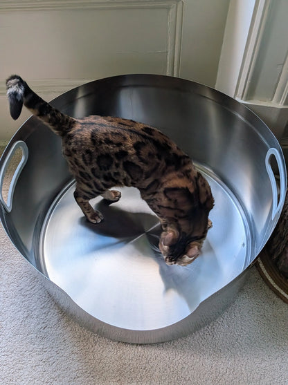 Bengal cat inside a large, round, silver stainless steel litter box with white handles.