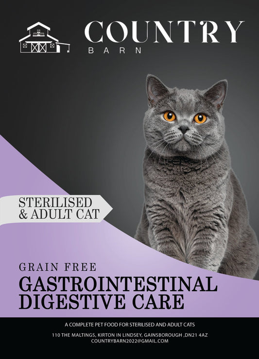 Grey British Shorthair cat with orange eyes on a purple and dark grey background, advertising grain-free digestive care.