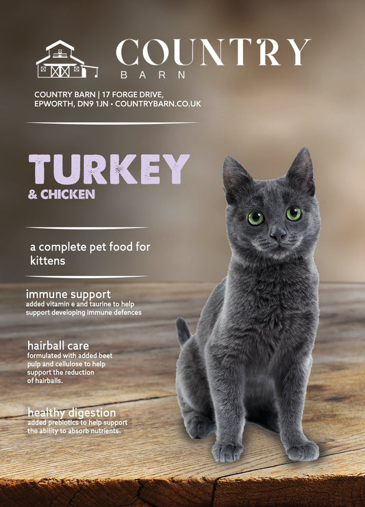 A sleek grey kitten with green eyes sits on a rustic wooden surface, advertising Country Barn Turkey & Chicken kitten food.