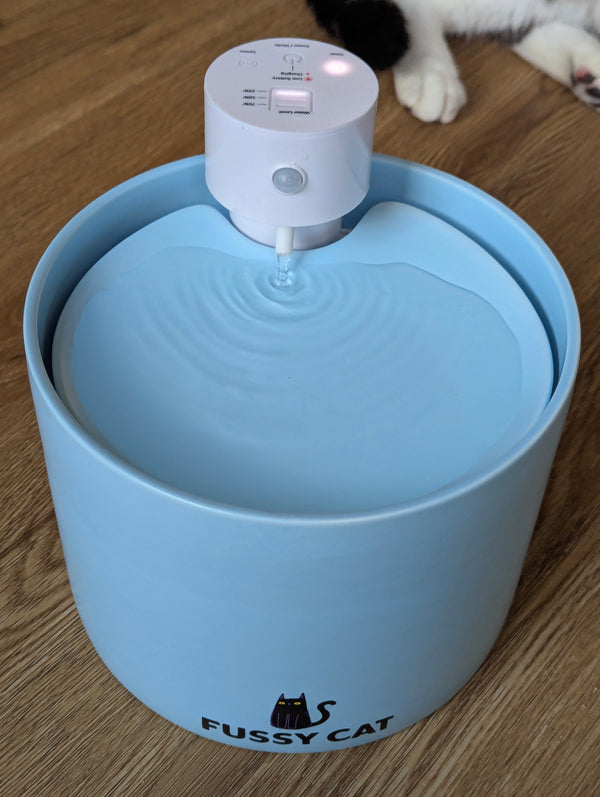Fussy Cat Ceramic Water Fountain - Blue