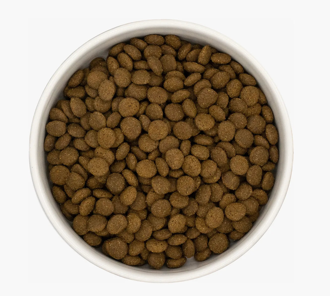 White bowl filled with small, round, dark brown salmon & white fish cat kibble.