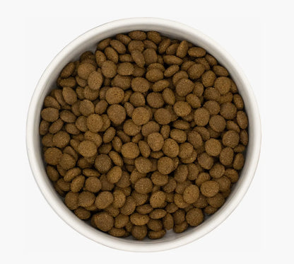 White bowl filled with small, round, dark brown salmon & white fish cat kibble.